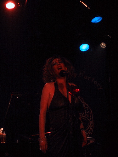 Kiki and Herb at the Knitting Factory
