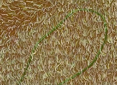 echo-snake-detail.jpg