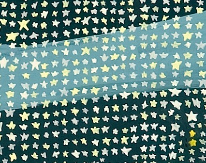 echo-stars-detail.jpg