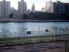 fence-queensbridge1.JPG