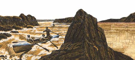herderbrowndesertdetai.jpg