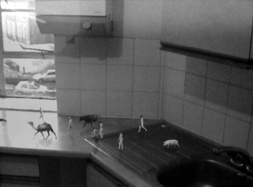 hiraki-sawa-migration-shrunk.jpg