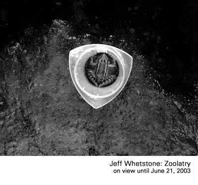 jeff-whetstone.jpg