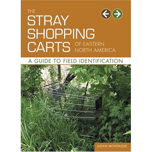 julian-montague-stray-shopping-carts.jpg