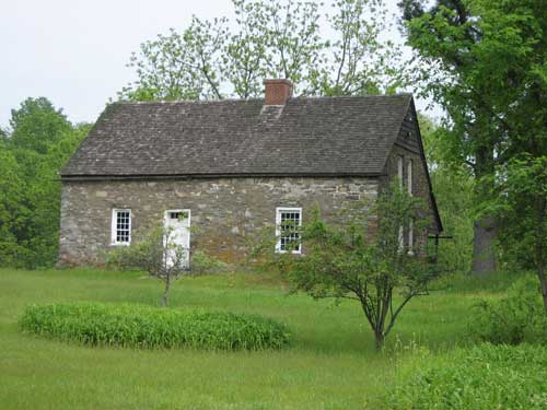 locust-lawn.jpg
