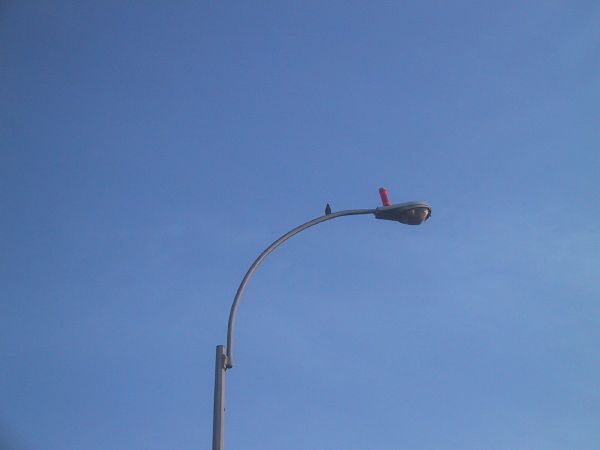 metropolitan-ave.jpg