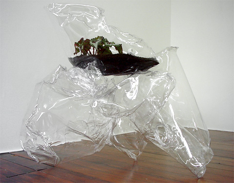 mikala-dwyer.jpg