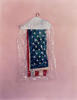 mitch-epstein-flag.jpg