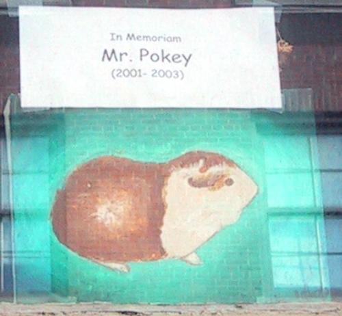 in memoriam mr pokey