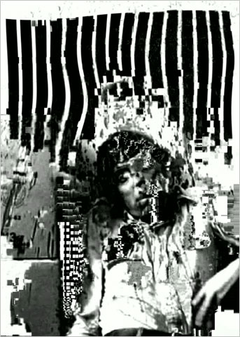 rhizome-benefit2007.jpg