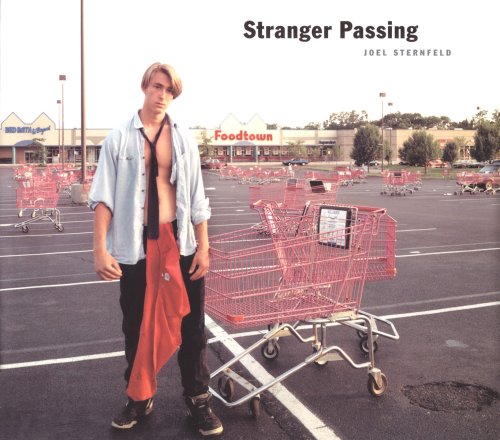 sternfeld_stranger_passing.jpeg