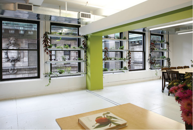 horticultural-society-newspace.jpg